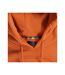 Sweat À Capuche Motif/style Petit Logo Active Homme Orange Rouille Aquascutum-4