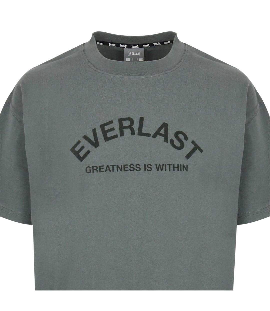 Mens Flock Print Cotton T-shirt Grey Everlast-3