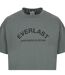 Mens Flock Print Cotton T-shirt Grey Everlast-3