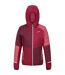 Doudoune À Capuche Motif/style Blocs De Couleurs Trutton Homme Bordeaux Rouge Foncé Regatta-1