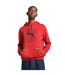 Sweat À Capuche Essentials Homme Rouge Puma-1