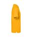 Polo Classic Homme Jaune Or James And Nicholson-3