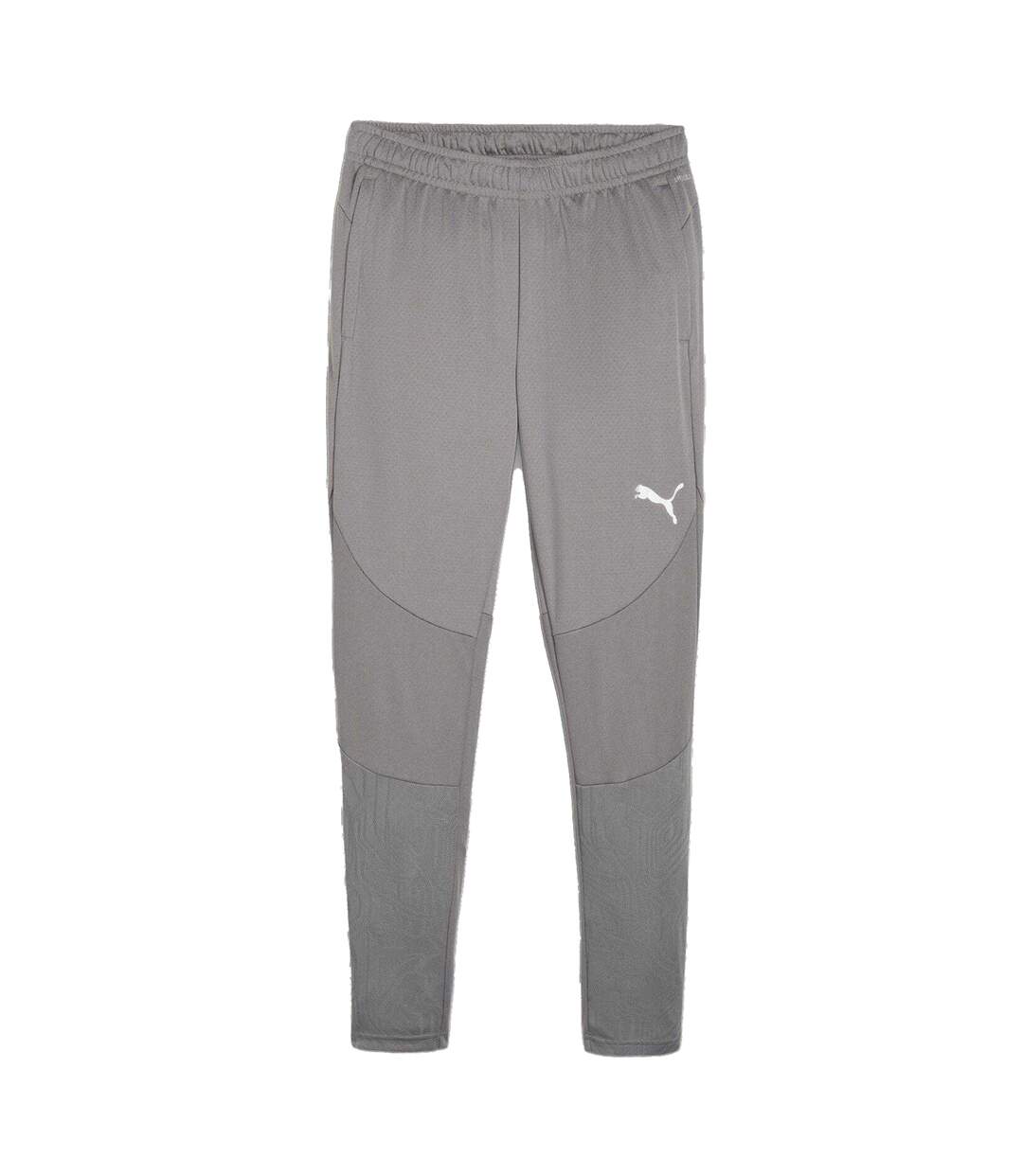 Mens Teamfinal Tailored Tracksuit Bottoms Iron Grey Silver Grey Puma-2