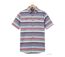 Chemise manches courtes TANDARA1-2