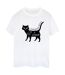 Disney - T-shirt HOCUS POCUS A CAT PERSON - Femme (Blanc) - UTBI20202-1