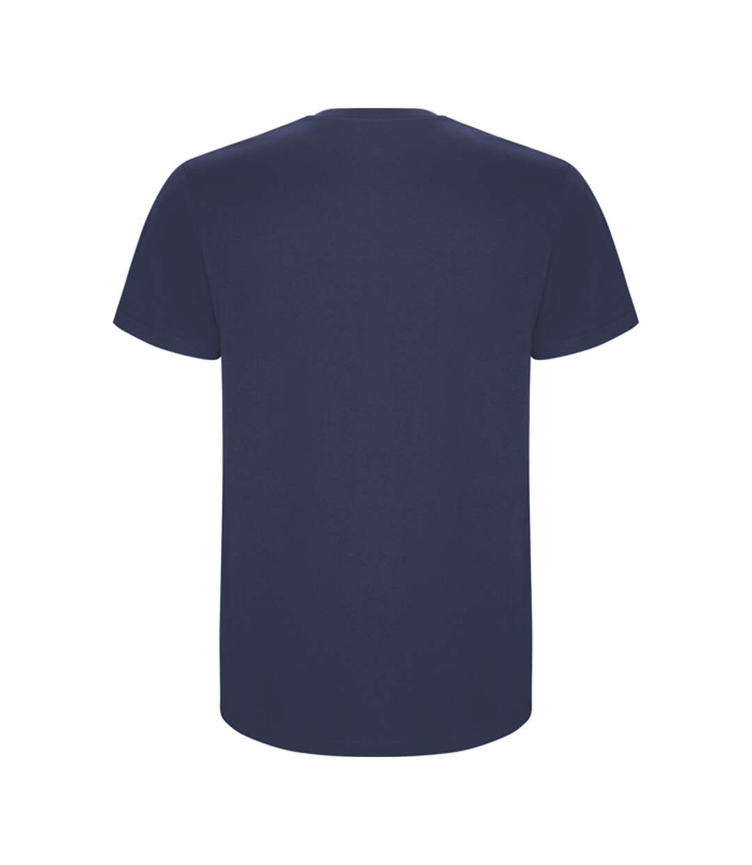 T-shirt Stafford Homme Bleu Denim Roly-2