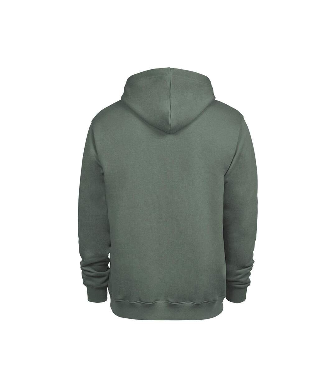 Sweat À Capuche Homme Vert De Gris Tee Jays-2