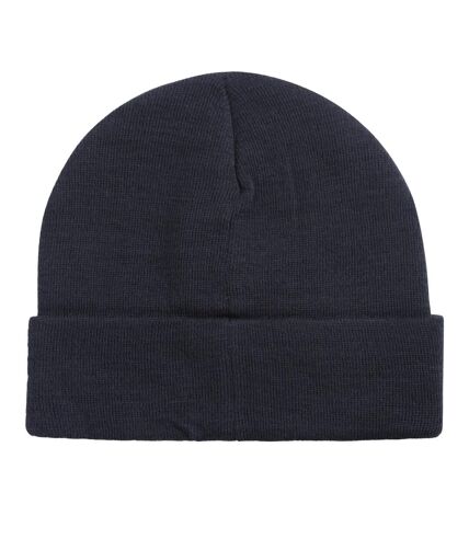 Mens harley recycled beanie navy Animal