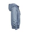 Tee Jays Womens/Ladies Fashion Zip Hoodie (Flintstone)