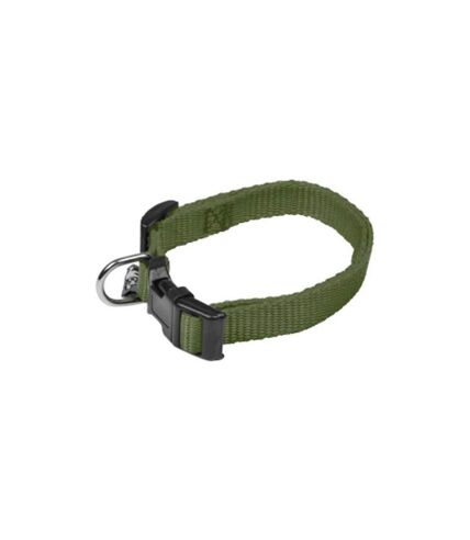 Collier Réglable pour Chien Essentiel 45cm Kaki