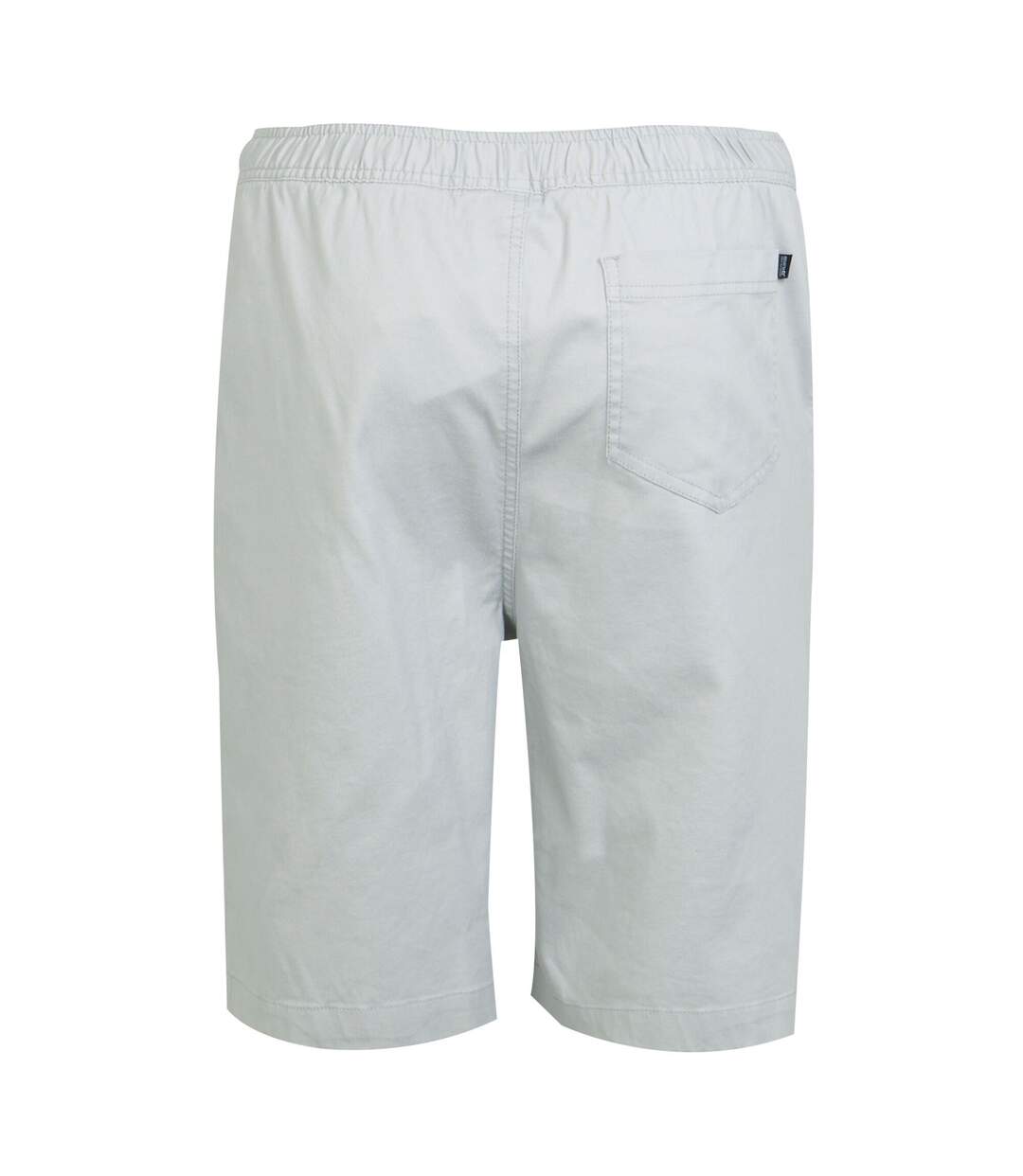 Short Aldan Homme Gris Argenté Regatta-3