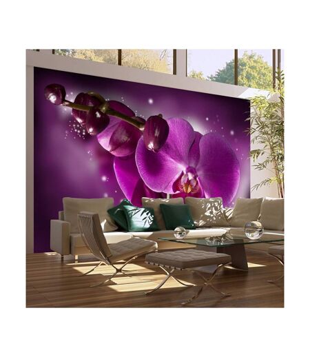 Papier Peint Conte & Orchidée 270x450cm