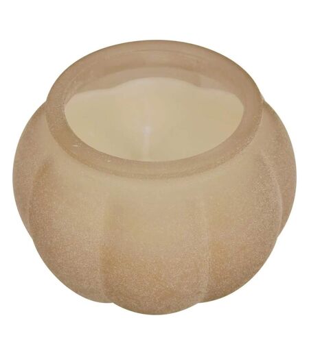 Bougie Parfumée en Verre Citrouille 100g Sapin & Eucalyptus