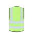 Gilet Haute Visibilité Hannover Adulte Vert Citron Korntex-2