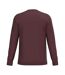 T-shirt Adulte Pourpre Pourpre Native Spirit-2