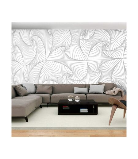 Papier Peint XXL Avantgarde Fan 280x500cm