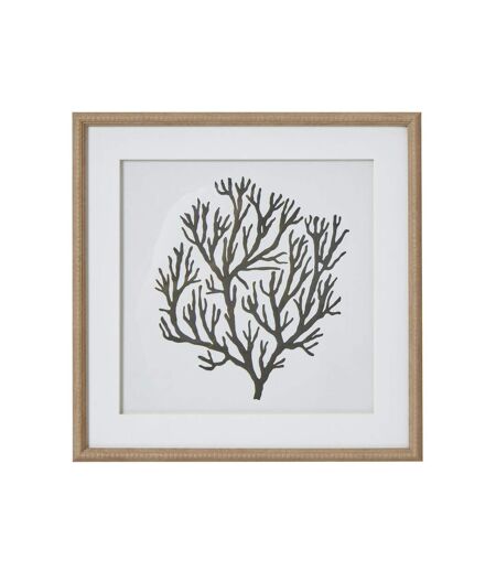 Atol coral framed art print 40cm x 2cm x 40cm brown/grey/white Hill Interiors