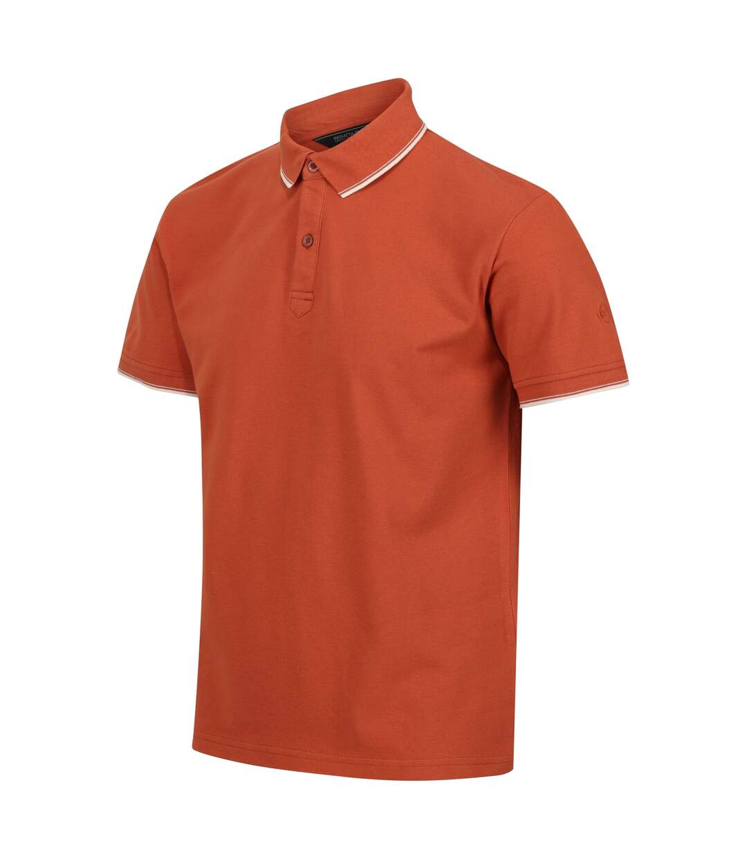 Polo tadeo homme terre cuite Regatta-3
