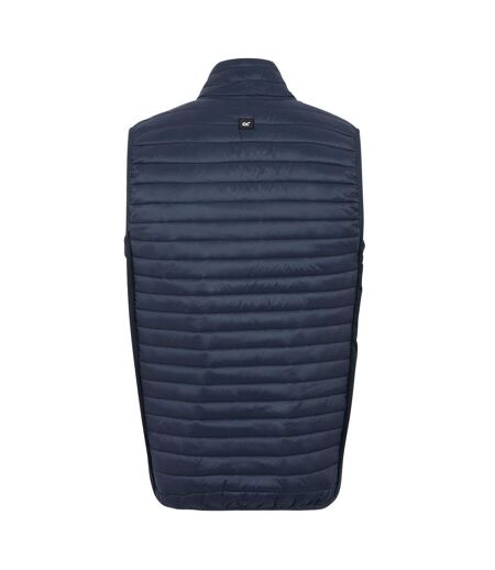 Doudoune Hybride Matelassée Andreson Homme Bleu Marine Regatta