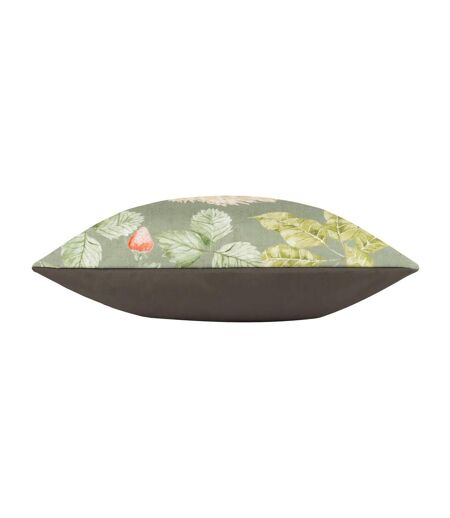 Evans Lichfield - Housse de coussin d'extérieur (Vert sombre) (43 cm x 43 cm) - UTRV3180