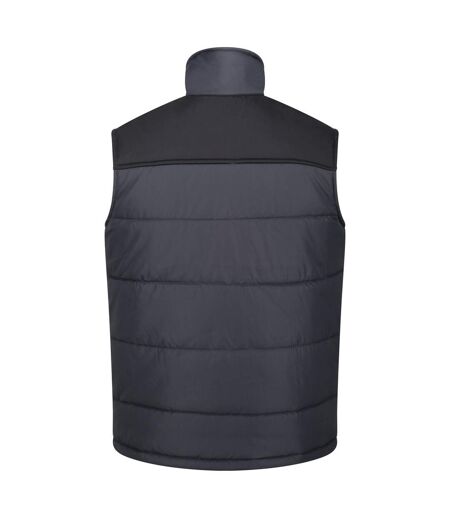 Veste Sans Manches Altoona Homme Gris Phoque Noir Regatta