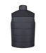 Veste Sans Manches Altoona Homme Gris Phoque Noir Regatta-2