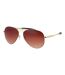 Mens Darwin Double Bridge Sunglasses One Size Gold Silver Bloc-1
