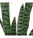 Plante Artificielle Sansevieria Toby 90cm Vert-2