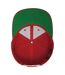 Yupoong Mens The Classic Premium Snapback Cap (Red) - UTRW2886