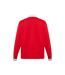 Unisex Adult British & Irish Lions Long-sleeved Jersey Red Canterbury-2