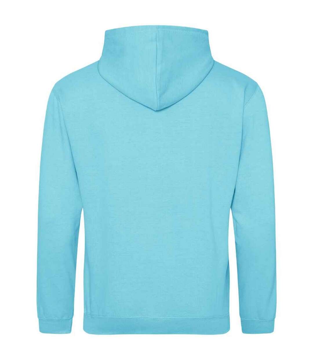 Sweat à capuche college adulte turquoise surf Awdis