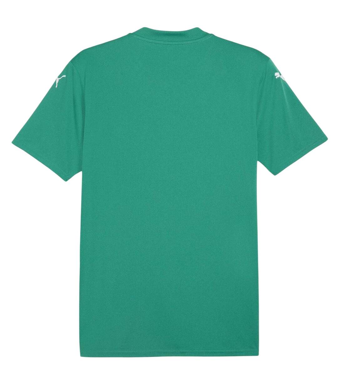 Mens Teamglory Jersey T-shirt Sport Green White Puma-2