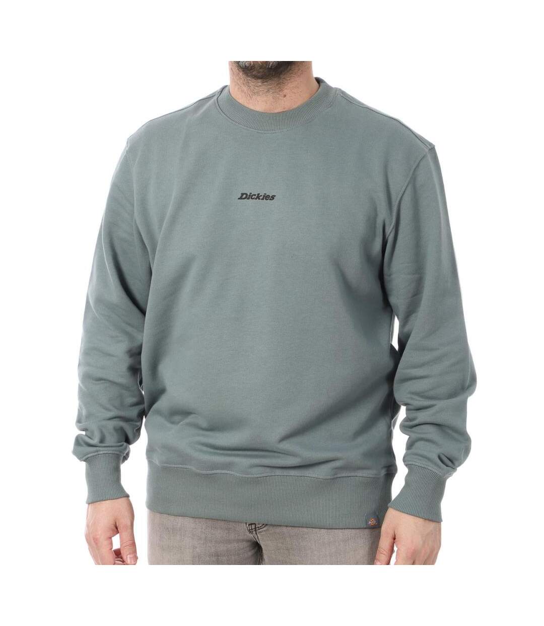 Sweat Bleu/Gris Homme Valley Falls - XS