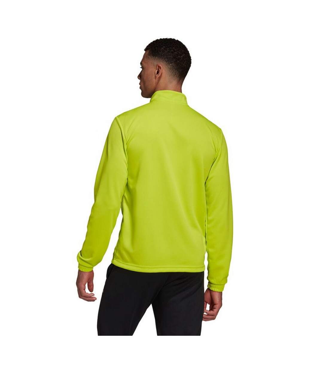 Sweat Entrada Homme Vert Adidas-4