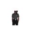 Polo Golf Homme Noir Callaway-1