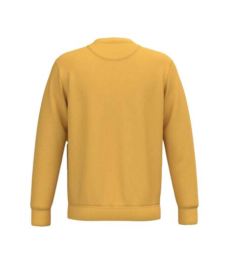 Sweat Adulte Jaune Native Spirit