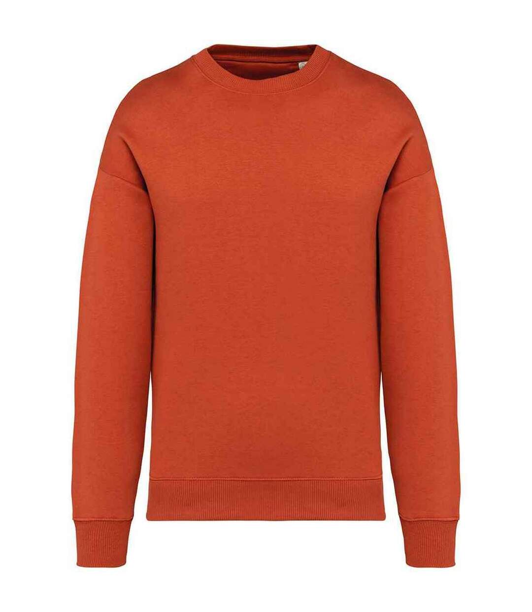 Womens/ladies oversized sweatshirt burnt brick Native Spirit-1