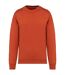 Womens/ladies oversized sweatshirt burnt brick Native Spirit-1