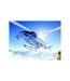 Vol en hélicoptère de 15 min pour 2 personnes au-dessus du Mont-Blanc - SMARTBOX - Coffret Cadeau Sport & Aventure