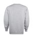 Disney - Sweat STRIDES - Femme (Gris) - UTTV489-2