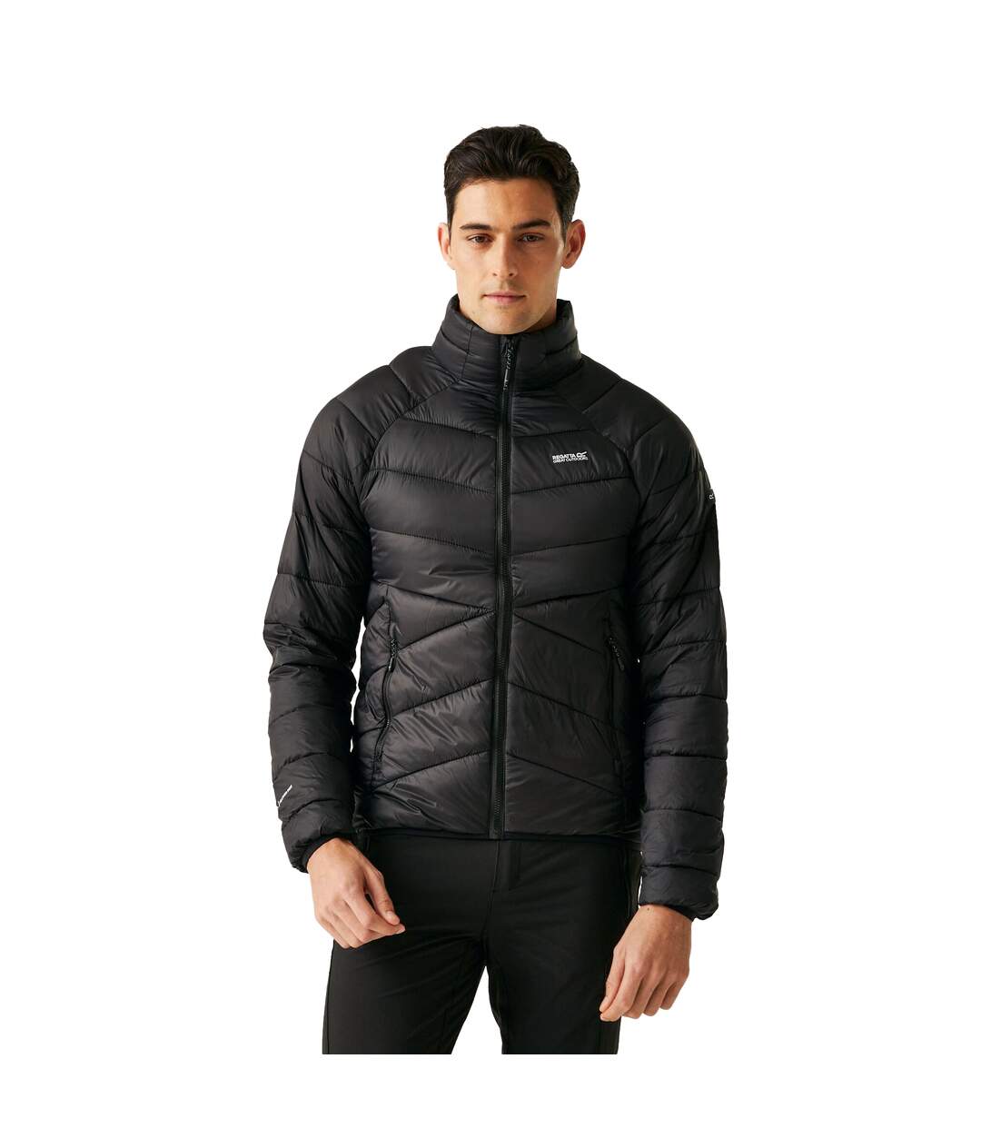 Mens dalent padded jacket black Regatta