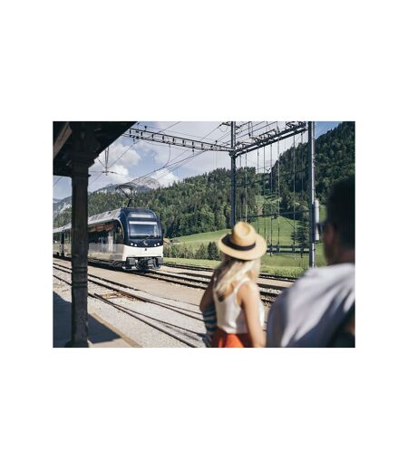 Voyage en Europe : Pass Interrail de 22 jours avec 2 nuits en hôtel 4* - SMARTBOX - Coffret Cadeau Multi-thèmes