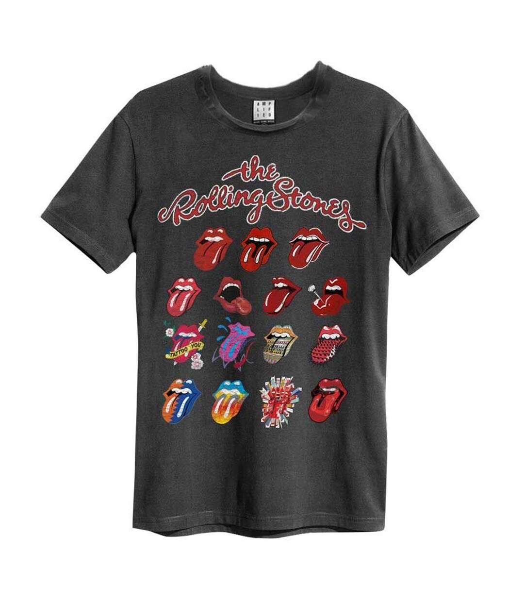 T-shirt Evolution Adulte Anthracite Amplified-1