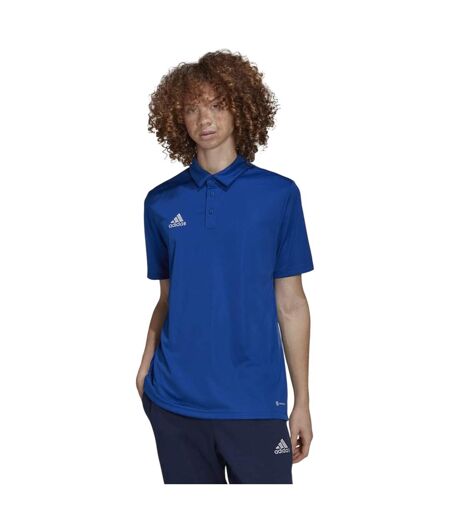 Polo Entrada Homme Bleu Roi Adidas