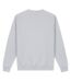 Sweat Motif Université De Michigan Adulte Gris Chiné Park Fields-2