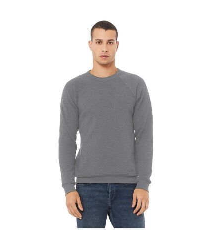 Bella + Canvas Unisex Adult Fleece Raglan Sweatshirt (Carbon Grey Heather) - UTBC4755
