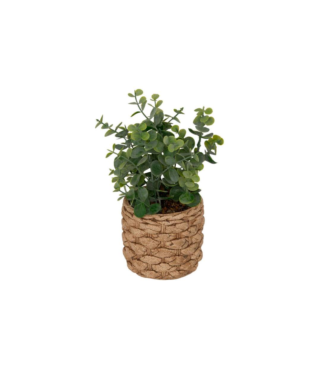 Eucalyptus Artificiel en Pot Jaye 27cm Vert-1