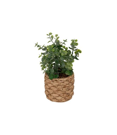 Eucalyptus Artificiel en Pot Jaye 27cm Vert