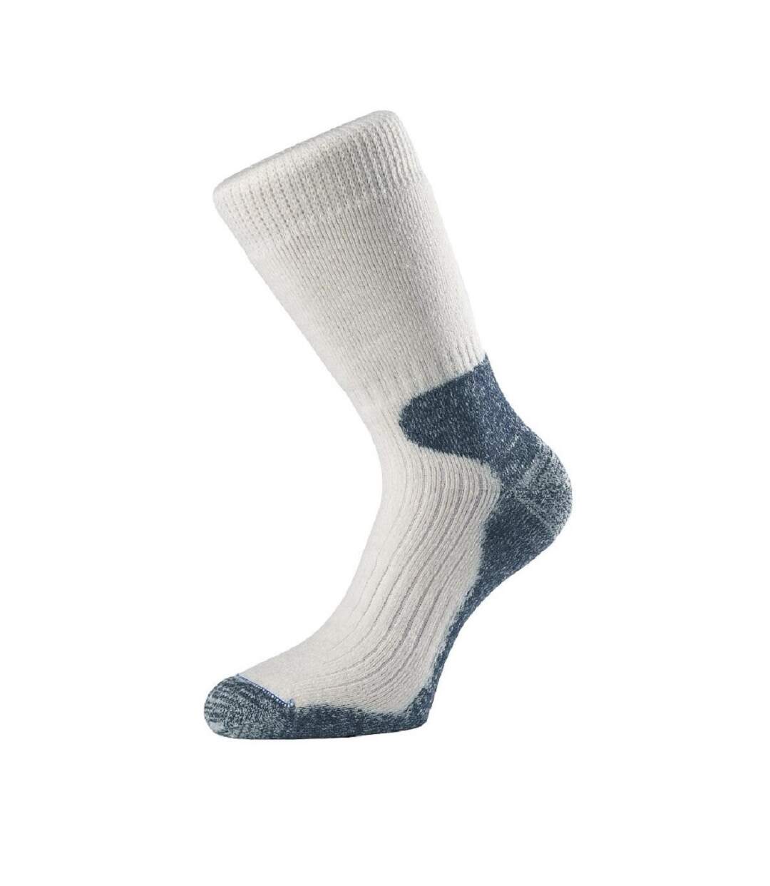 Chaussettes ultra adulte beige 1000 Mile