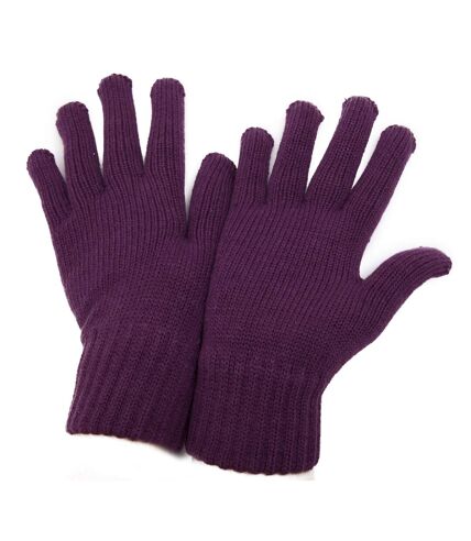 CLEARANCE - Womens/Ladies Winter Gloves (Burgundy)